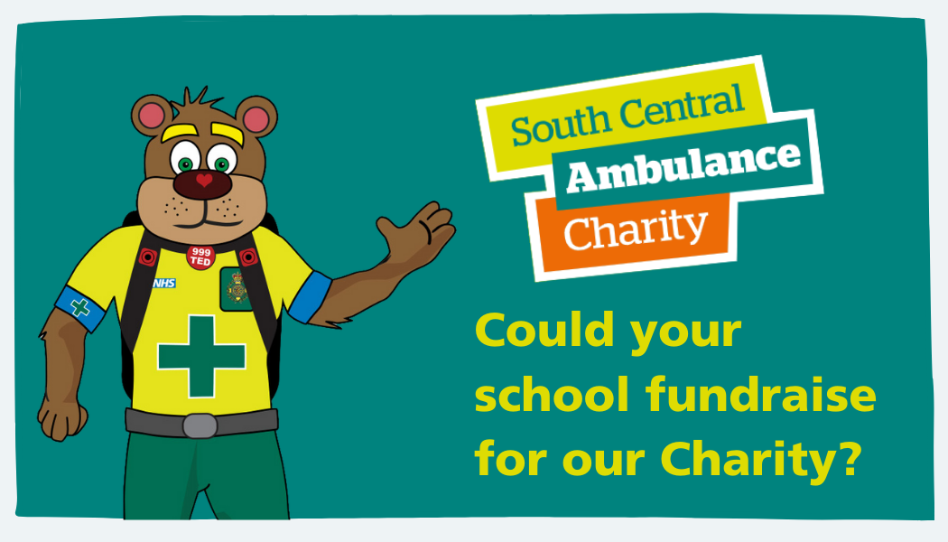 999 Ted Graphic that reads could you fundraise for our charity